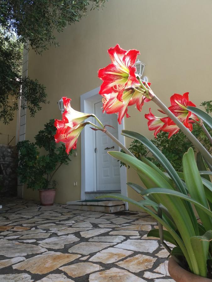 Sunrise Luxury Holiday home